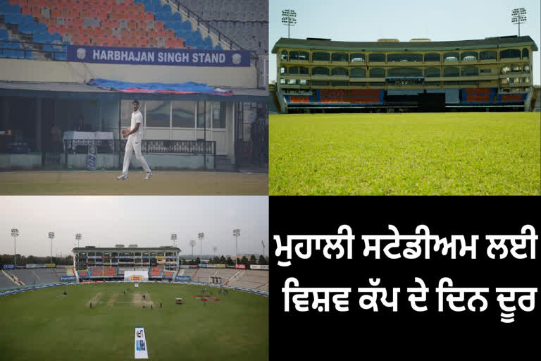 World Cup Match in Mohali Stadium: ਪੰਜਾਬ ਚ ਕ੍ਰਿਕਟ ...