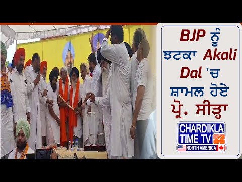 BJP ਨੂੰ ਝਟਕਾ Akali Dal 'ਚ ਸ਼ਾਮਲ ਹੋਏ ਪ੍ਰੋ. ਸੀੜ੍ਹਾ | Sukhbir Singh Badal