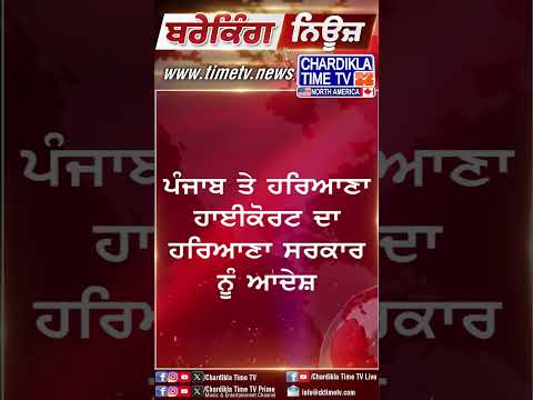 Breaking News: Highcourt ਦੇ Order ਹੁਣ ਖੁੱਲੇਗਾ ਸ਼ੰਭੂ ਬਾਰਡਰ, ਕਿੱਥੇ ਜਾਣਗੇ ਕਿਸਾਨ..? #shorts #kisan