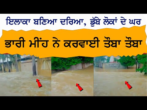 ਇਲਾਕਾ ਬਣਿਆ ਦਰਿਆ, ਡੁੱਬੇ ਲੋਕਾਂ ਦੇ ਘਰ..! Flood 2024, Heavy rain caused chaos