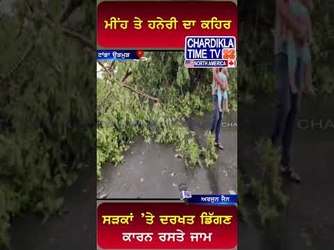 ਮੀਂਹ ਤੇ ਹਨੇਰੀ ਦਾ ਕਹਿਰ, ਰਸਤੇ ਜਾਮ..! #shorts #chardiklatimetvnews