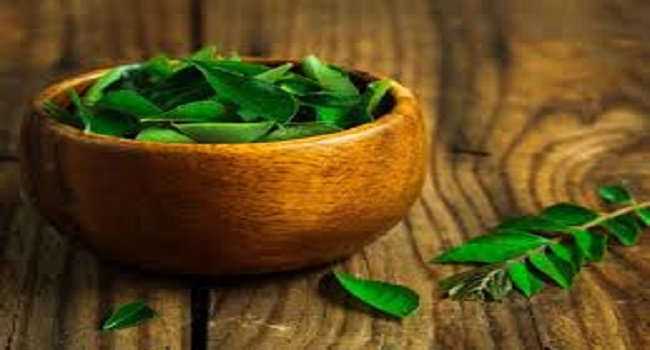 Latest Health News | Curry leaves | Health