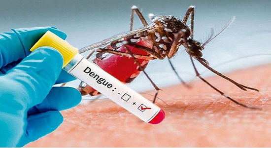 Latest Punjabi News | Dengue Positive Patients | Jalandhar