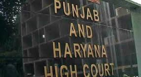 Latest Punjabi News | Punjab and Haryana High Court