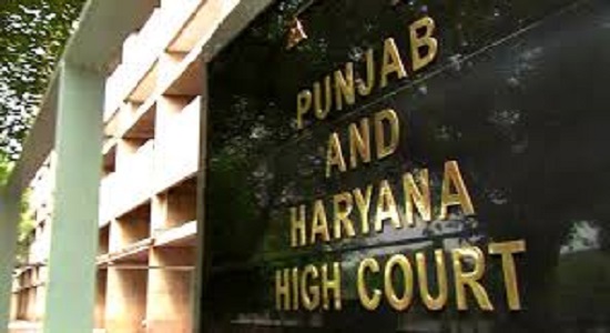 Latest Punjabi News | Punjab and Haryana HC | NHAI