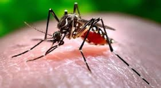 Latest World News | Bangladesh | Dengue positive