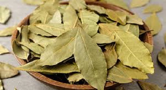 Latest Health News | Uric acid | Bay Leaves