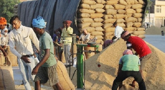 Latest Punjabi News | Paddy Procurement | Punjab