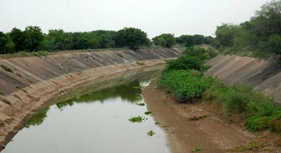 Latest Haryana News |The Sutlej Yamuna Link Canal |