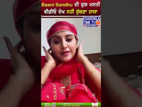 Baani Sandhu ਦੀ ਫੁੱਲ ਮਸਤੀ #shorts #baanisandhu #fullmasti #viralvideo #video