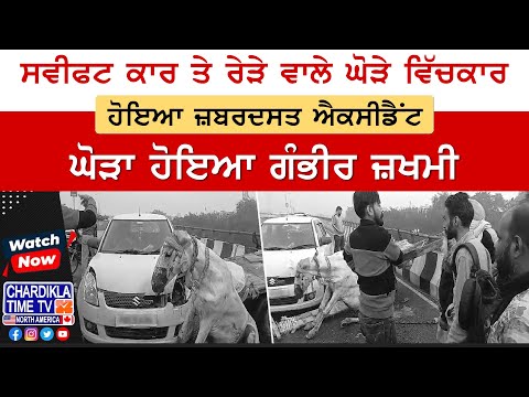 ਸਵੀਫਟ ਕਾਰ ਤੇ ਰੇੜੇ ਘੋੜੇ ਵਿੱਚਕਾਰ ਹੋਇਆ ਜ਼ਬਰਦਸਤ Accident, ਘੋੜਾ ਹੋਇਆ ਗੰਭੀਰ ਜ਼ਖਮੀ