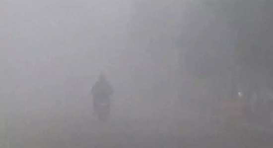 Latest Haryana News | IMD issued orange and yellow alert