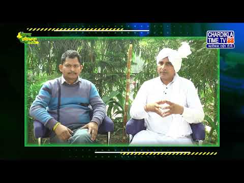 Punjab Haryana Gail Gail | Episode 41 | 15.11.2024