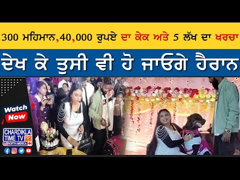 300 ਮਹਿਮਾਨ, 40,000 ਰੁਪਏ ਦਾ ਕੇਕ ਅਤੇ 5 ਲੱਖ ਦਾ ਖਰਚਾ, ਦੇਖ ਕੇ ਤੁਸੀ ਵੀ ਹੋ ਜਾਓਗੇ ਹੈਰਾਨ