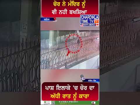 ਚੋਰ ਨੇ ਮੰਦਿਰ ਨੂੰ ਵੀ ਨਹੀ ਬਖਸ਼ਿਆ..😱😱 #shorts #viralvideo #chor #temple #jalandhar #mandirthief