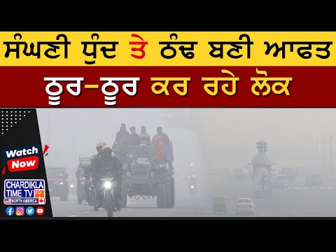 ਸੰਘਣੀ ਧੁੰਦ ਤੇ ਠੰਢ ਬਣੀ ਆਫਤ, ਠੂਰ-ਠੂਰ ਕਰ ਰਹੇ ਲੋਕ | Amritsar Weather