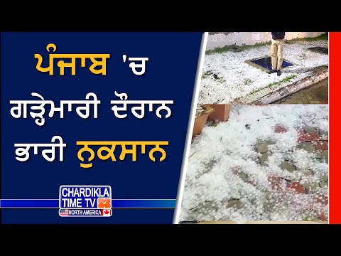 ਪੰਜਾਬ 'ਚ ਗੜ੍ਹੇਮਾਰੀ ਦੌਰਾਨ ਭਾਰੀ ਨੁਕਸਾਨ | Punjab Weather