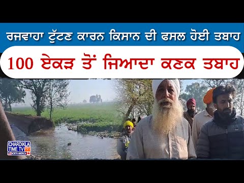 ਰਜਵਾਹਾ ਟੁੱਟਣ ਕਾਰਨ ਕਿਸਾਨ ਦੀ ਫਸਲ ਹੋਈ ਤਬਾਹ | Bathinda News