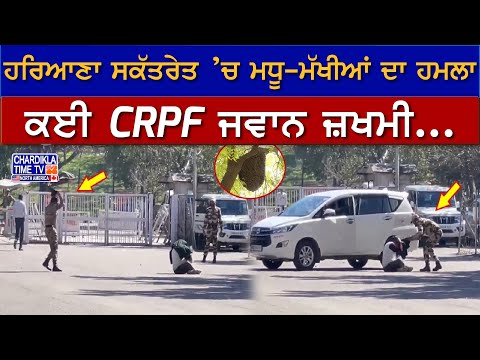 ਹਰਿਆਣਾ ਸਕੱਤਰੇਤ ’ਚ ਮਧੂ-ਮੱਖੀਆਂ ਦਾ ਹਮਲਾ, ਕਈ CRPF ਜਵਾਨ ਜ਼ਖਮੀ...