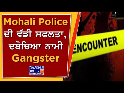 Mohali Police ਦੀ ਵੱਡੀ ਸਫਲਤਾ, ਦਬੋਚਿਆ ਨਾਮੀ Gangster | Mohali Encounter News