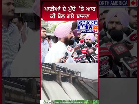 ਪਾਣੀਆਂ ਦੇ ਮੁੱਦੇ ’ਤੇ ਆਹ ਕੀ ਬੋਲ ਗਏ ਬਾਜਵਾ.#BajwaStatement #SYLCanal #PunjabWaterIssue #BajwaNews #reels
