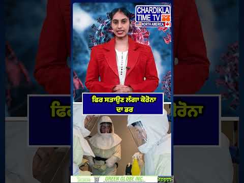 ਫਿਰ ਸਤਾਉਣ ਲੱਗਾ ਕੋਰੋਨਾ ਦਾ ਡਰ #covid19 #latestcovidnews #coronavirus #CoronaUpdate #CovidAlert #Health