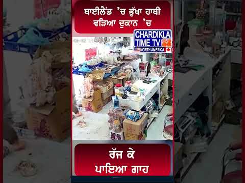 ਥਾਈਲੈਂਡ ’ਚ ਭੁੱਖਾ ਹਾਥੀ ਵੜਿਆ ਦੁਕਾਨ ’ਚ ਰੱਜ ਕੇ ਪਾਇਆ ਗਾਹ #Thailand #ElephantAttack #Viral #HungryElephant